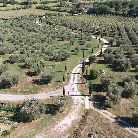 Casetta Dell'Uliveto Macchiascandona Екстериор снимка